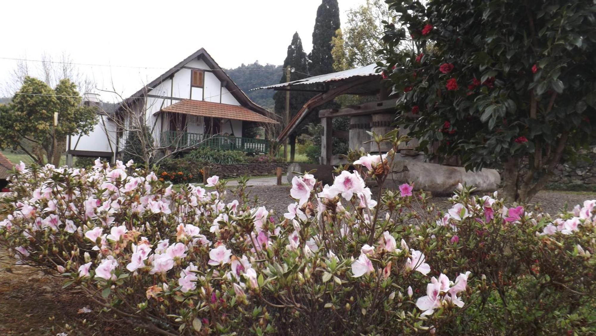 Recanto Dos Pioneiros Nova Petropolis Pokoj fotografie