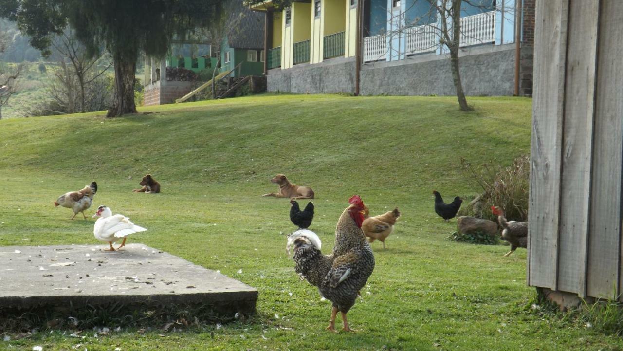 Recanto Dos Pioneiros Nova Petropolis Exteriér fotografie